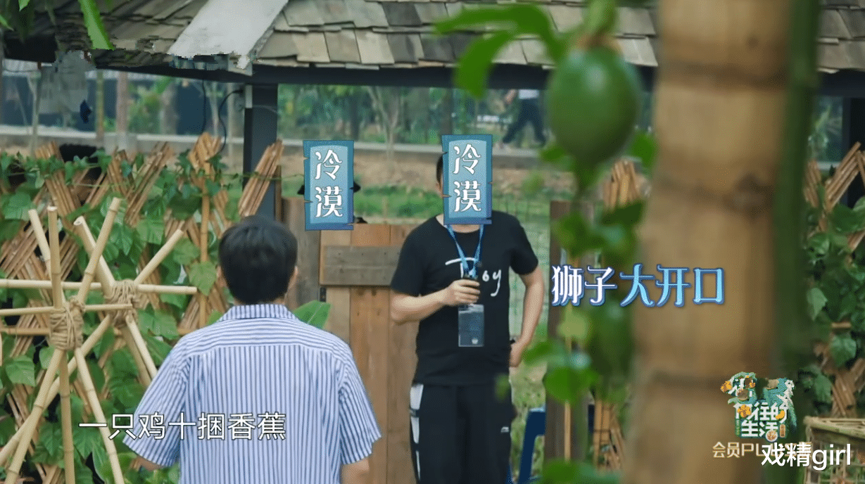 【黄磊】一只鸡要十捆香蕉！黄磊拿板砖“威胁”导演，周迅调侃彭彭太自恋