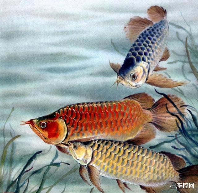 跨年|哪些日子出生的人，年底前生活困苦，跨年后日子变好，无忧无虑