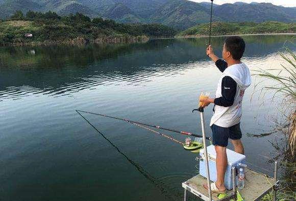 ：1+0.8的线组，袖5号钩，钓获4.6斤鲤鱼算大吗？你钓过多大的？