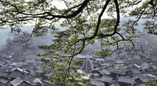 贵州|深藏在贵州大山里的古寨，被400棵古树包围着，从未被商业化
