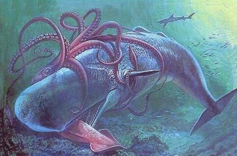 #抹香鲸#长达30米，可以捕猎抹香鲸，传说中的“大海蛇”到底是什么动物？