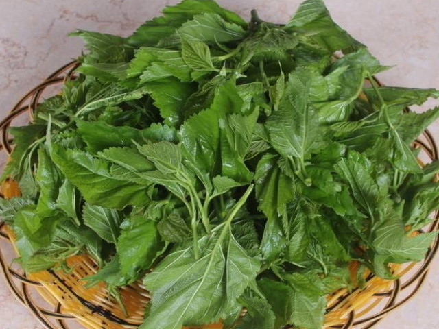 血糖■一旦查出糖尿病，“钱再少”也要坚持吃4物，血糖或能慢慢降下来