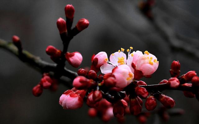 「」这几个星座格局大，不限于眼前的得失，吃亏也不会计较