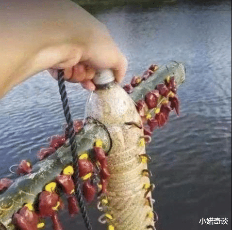 |男子用矿泉水瓶做钓鱼神器，第二天收获喜人