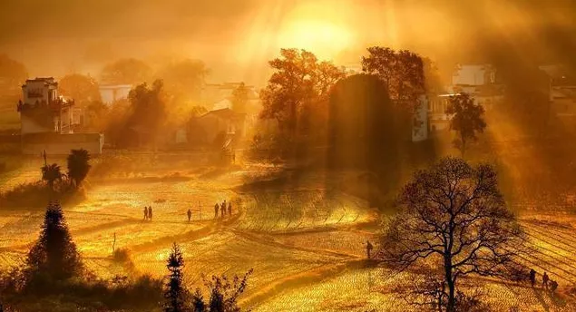 [上证指数]没啥说的，减仓了