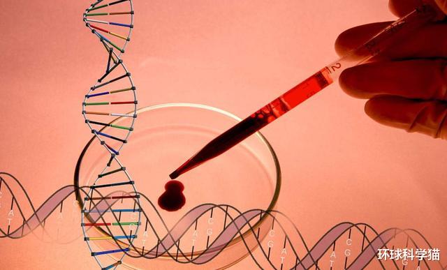 科学家|人类进化没有停?科学家或发现“此前未知”的器官,隐藏很好