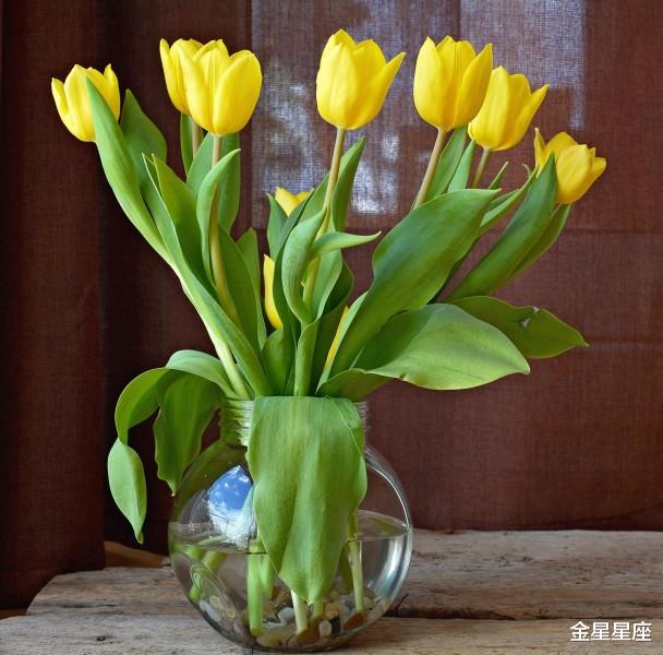 『运势』今天开始,财神庇佑,出门见喜的3个生肖,运势亨通,前途旺