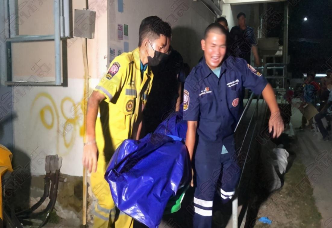 睹图|年轻妻子上班忘记关门家里宠物猫丢失，丈夫得知后将其杀死