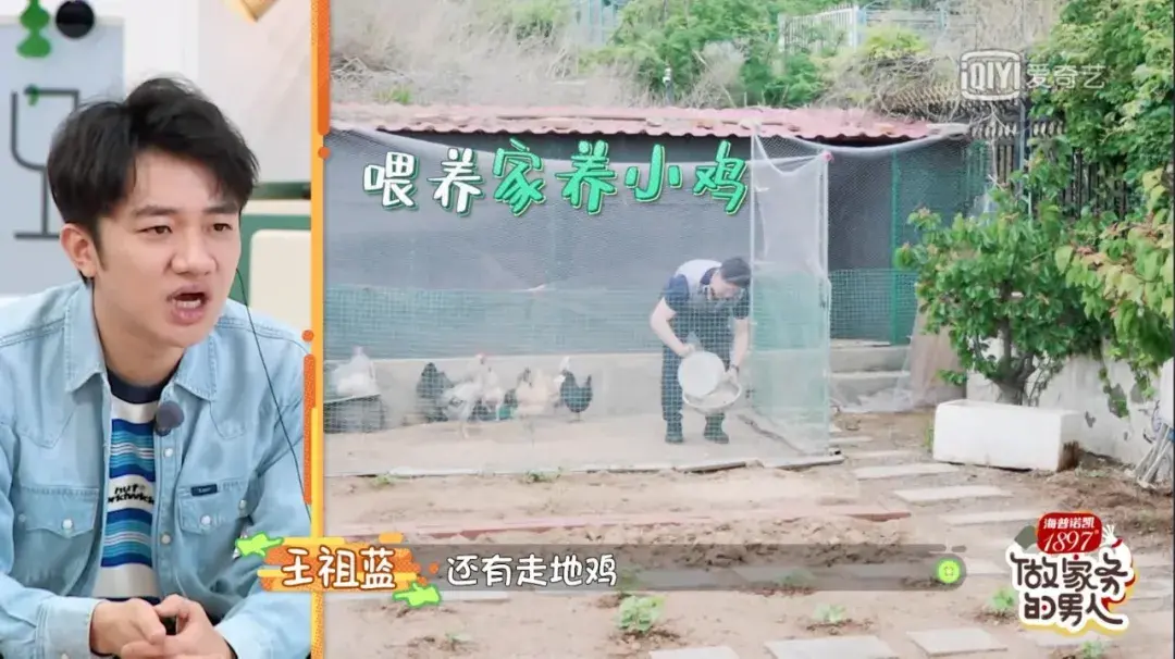 张继科|张继科被骗,网友心疼:这段感情里,他像个第三者…