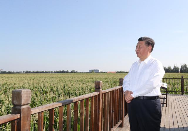 汽车销量|习近平在吉林考察时强调 坚持新发展理念深入实施东北振兴战略 加快推动新时代吉林全面振兴全方位振兴