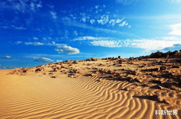 驴友|为什么沙漠中看见“石头”，要立马捡起来？驴友：错过就没机会了