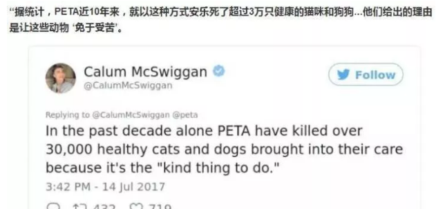 你好吴所畏|人设坍塌！玉林救狗华裔“英雄”牟利百万潜逃美国，还把小狗活活烧死