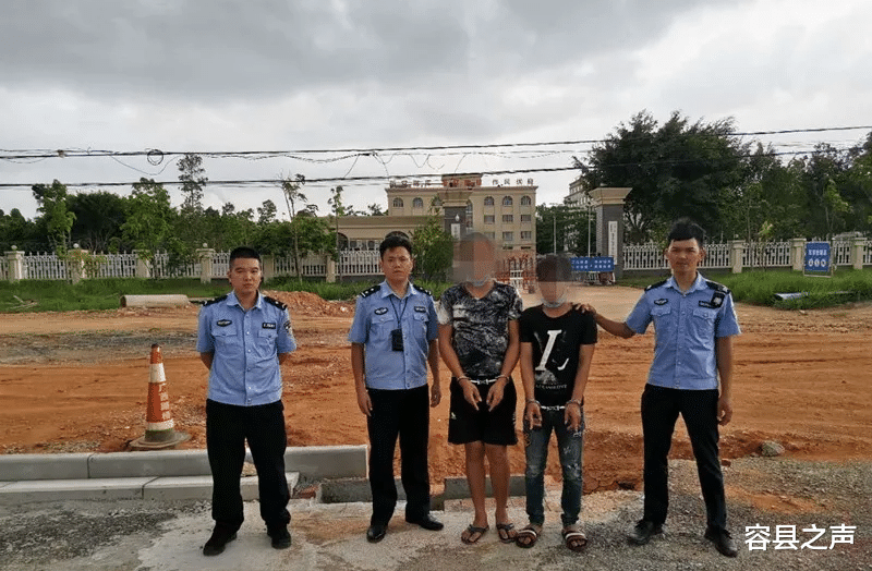 容县之声|广西这俩“偷狗贼”总算捉到了！偷狗上百条、获利50余万！