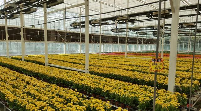 桂林:广西严重倒退的城市,曾做过数百年省会,如今以风景著称,经济停滞不前