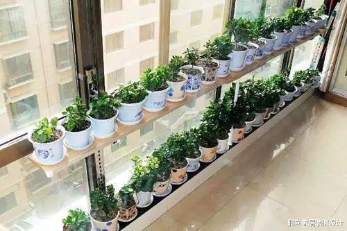 @阳台打造漂亮花园，学会这6招，不会的看一眼就会了！