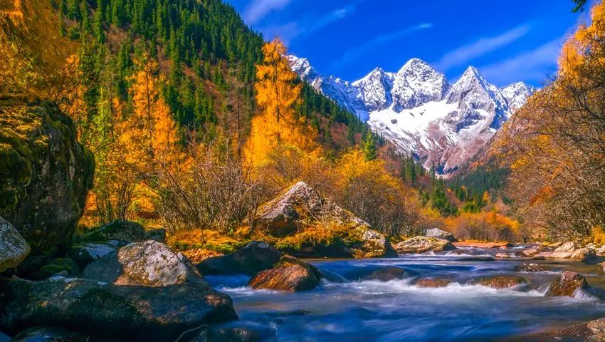 峨眉山|2020年红叶观赏指南!美成仙境,人少景美,还有温泉泡!