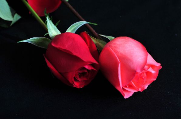 |生肖猴：9月你会遇到以下2个人，他们将是你一辈子的贵人！