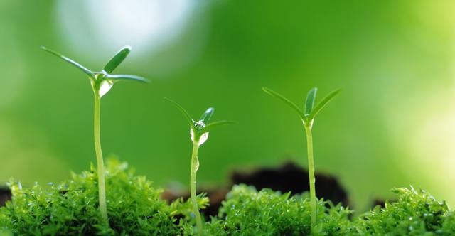 运势|8月中旬，厅堂若太小，赚钱多不了，4生肖努力奋斗，事业扶摇直上