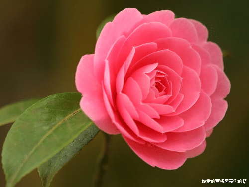 『运势』7月份,贵人相助,4属相命格丰财,生活衣食无忧,幸福安康