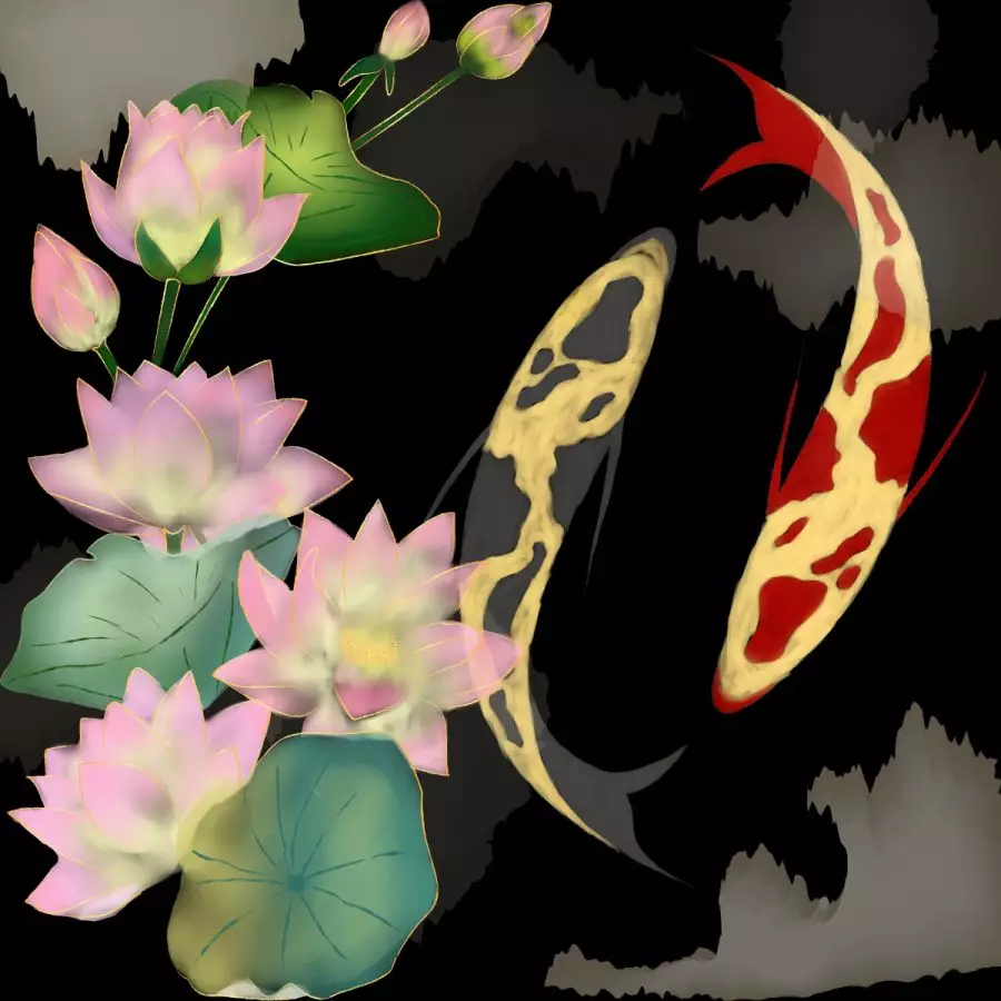 别甲锦鲤、写鲤的区别与联系