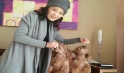 刘雪华|为渣男切子宫，丈夫坠楼身亡，一生无儿女，61岁刘雪华的悲情人生