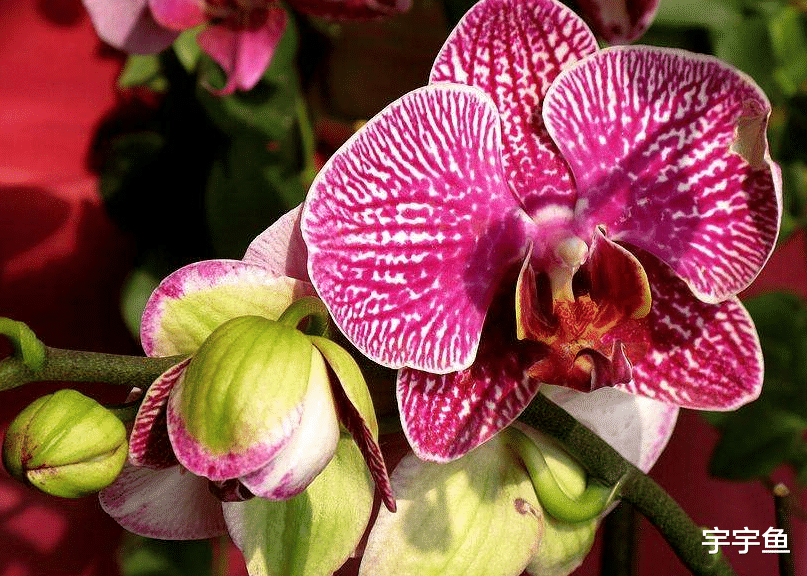 大富大贵|8月27号开始此三生肖财运滚滚来，咸鱼翻身，大富大贵