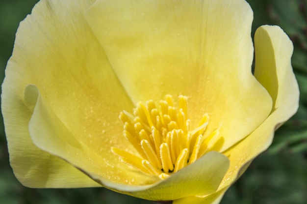 生肖：5月份开始，4属相运势开门红，喜鹊报喜，前途一片光明