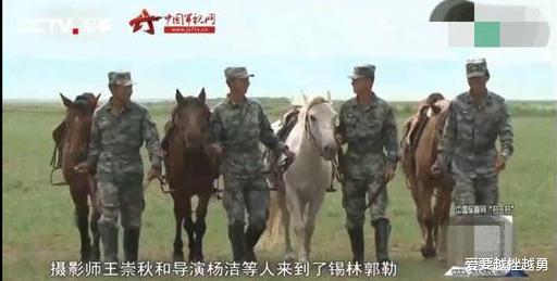 杨洁@1997年,白龙马惨死马棚,杨洁泪崩,尸骨无存背后是人性的丑恶