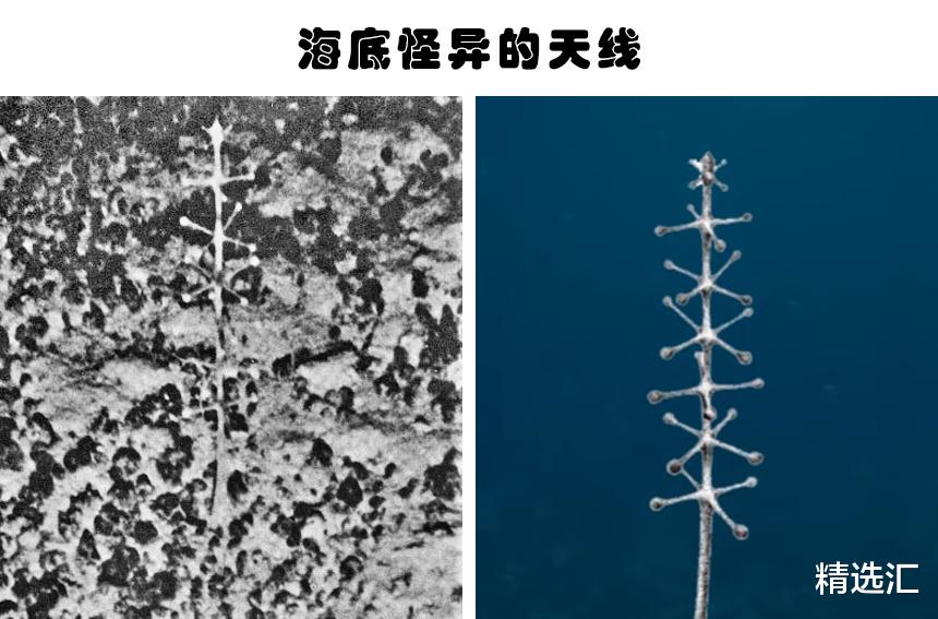 「纳斯卡」神秘发现：因为太过于先进，被怀疑远非人为造物的5件事物