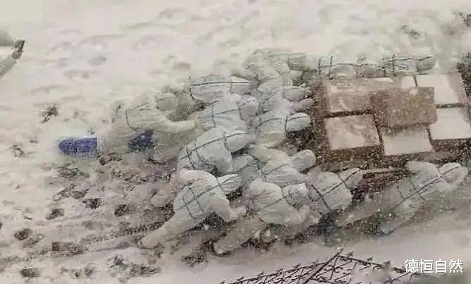 德恒自然 不能好了伤疤忘了疼