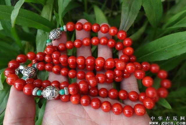 |精品赏析 红珊瑚手串