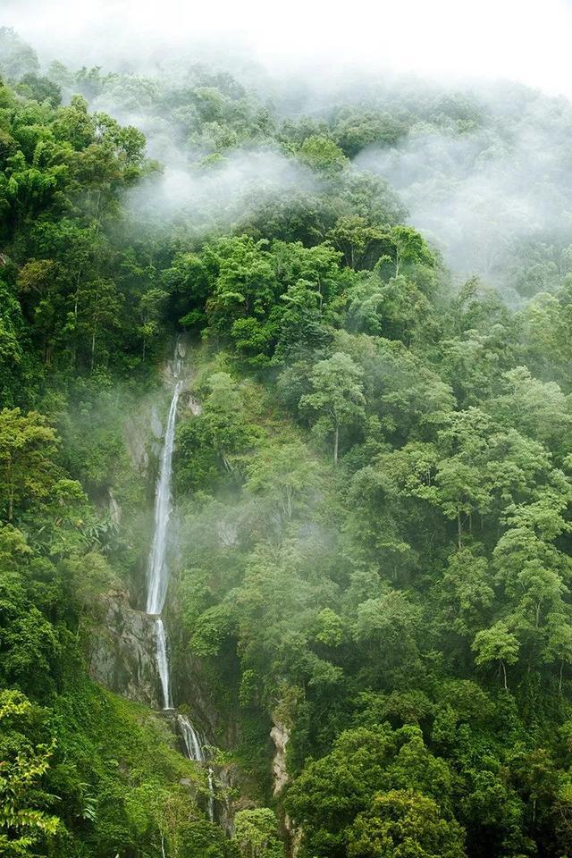 【墨脱】墨脱，一个拥有整个世界，你来了就不想走的地方