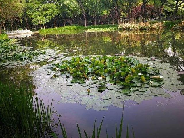 @选钓点抓住几个重要因素，不同季节它们的角色、作用并不相同！