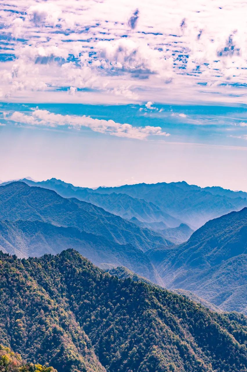 旅行|“最近，千万别去秦岭！”