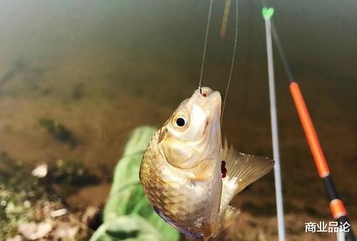 蚂蚁花呗|这两个爱好，让中年人的负债压力增大，远超“花呗青年”