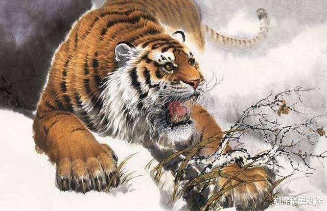 「老虎」为何说“虎生三子,必有一彪”?来看看,彪到底是种怎样的存在