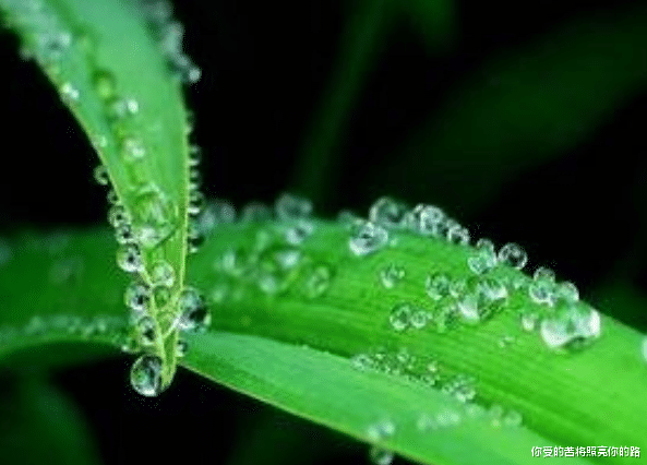 运势|8月吉运进家门，4属相时来运转，财源广进，喜上眉梢