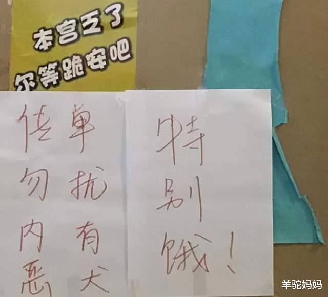 宿舍|大学宿舍“防推销标语”走红，宿舍阿姨查寝快笑岔气，网友：人才