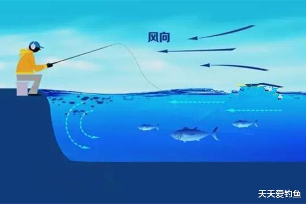 ▲久坐无口可能是钓点没选对，按照这三大方向选钓点，底下鱼儿成群
