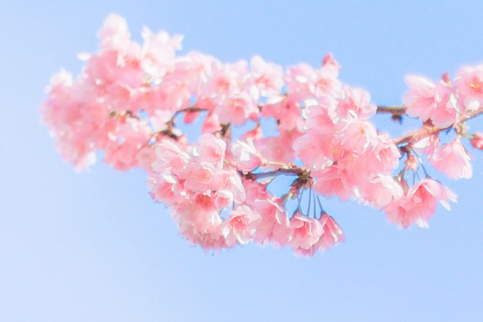 生肖|心思细腻，待人体贴的星座女，懂得换位思考，遇到了别错过