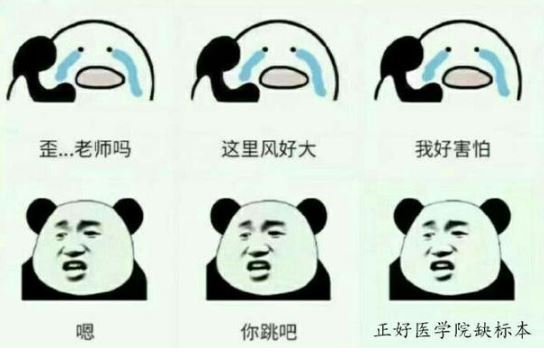 求职|志愿填报专业怎么选？听听学长怎么说（医科类）