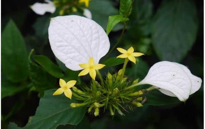 生肖|8月开始财源滚滚,贵人接二连三到来,开心发大财的四大生肖