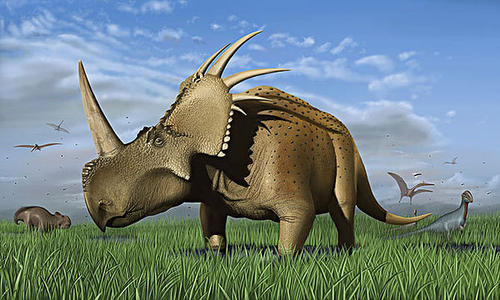 毒液|一滴毒液就可以杀死20人，它是“剧毒杀手”也可以治愈癌症