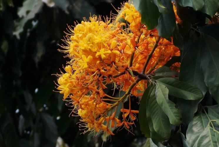 |9月开始事业有成，迎来一波好运，喜报频传的四大属相