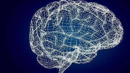 阿尔茨海默病|日本老年痴呆症程度测试：你能在图片上找到那只蜥蜴吗？赶紧试试