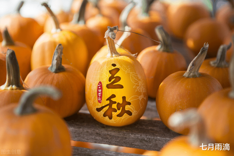 苦瓜|“秋瓜烂肚”,立秋后要少吃两种瓜