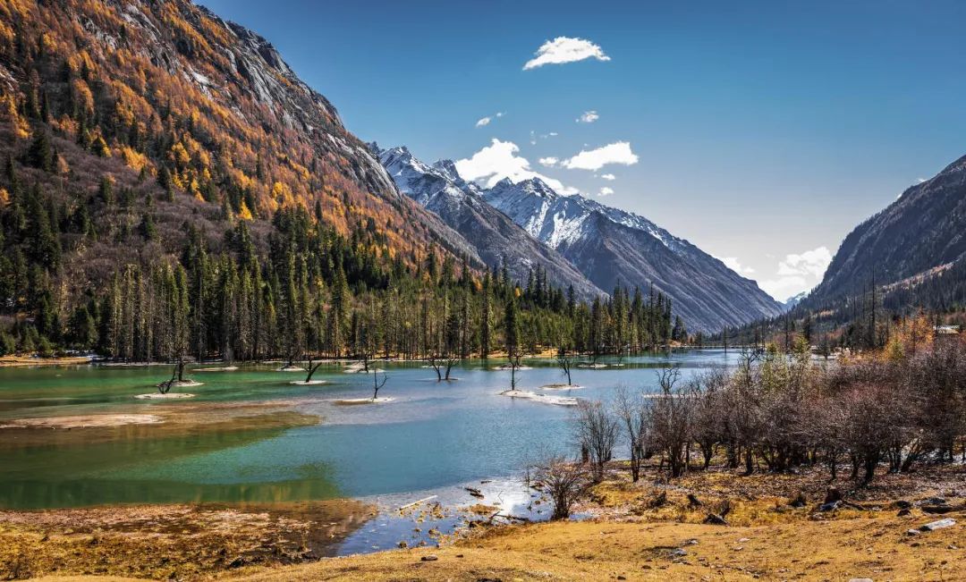 川西|川西，整个秋季最美的地方！思鹿旅行推荐