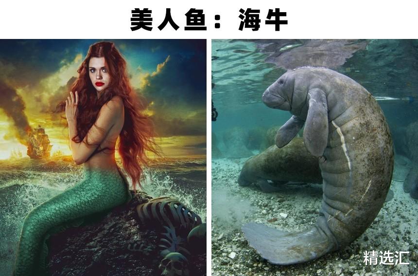 火蝾螈|被证明可能拥有真实原型的7个神奇的生物