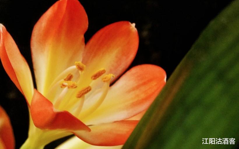 『生肖』惹不起的3生肖，7月2号霉运消散，财神眷顾，票子数不完