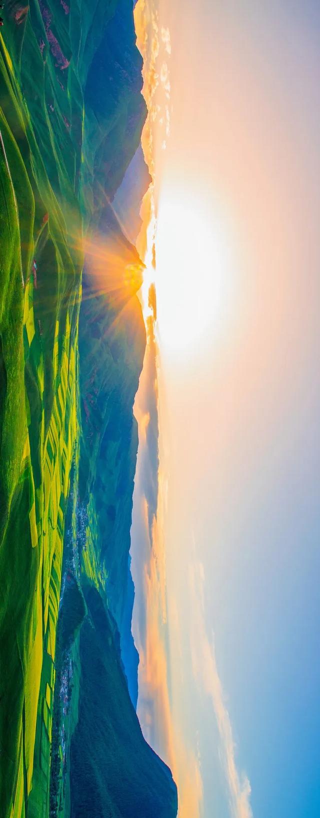 #青海#来看6月飞雪，过一个只有20℃的夏天，这里60000亩花海即将盛放！